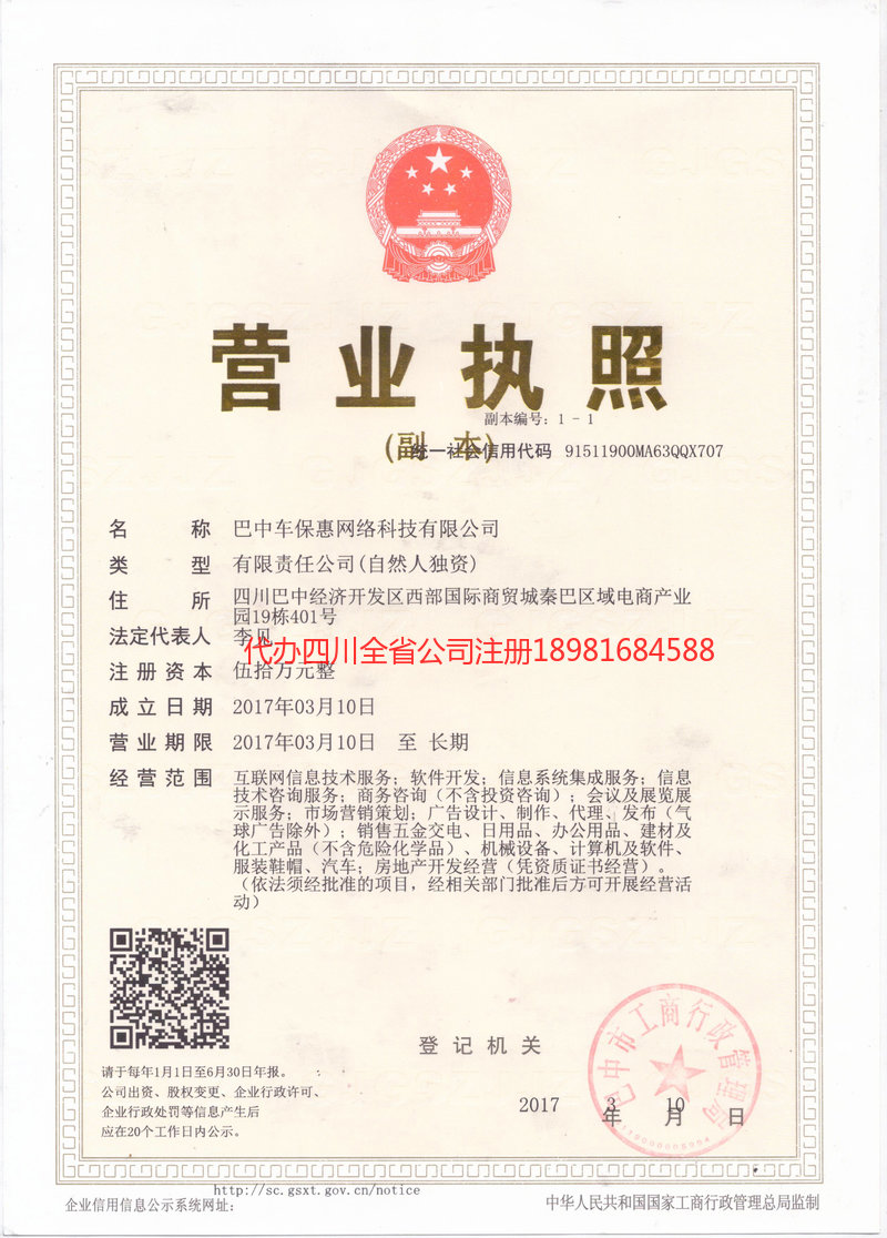 濮阳濮阳车保惠网络科技有限公司